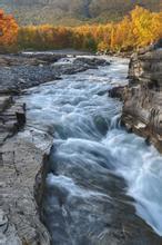 跑路江湖by宝木三令