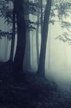 跑路的游戏叫什么