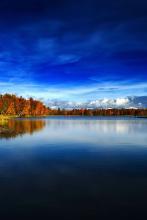 爱书的女人文集