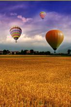 边&nbsp;&nbsp;子文集