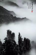 楚&nbsp;&nbsp;风文集