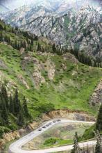 丶若丿有情文集