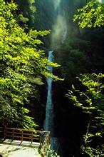 薄荷汉宫飞燕文集