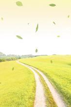 双面总裁欺上身