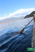 另类保镖总裁爱上我续集