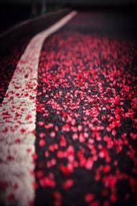 独徘徊斋主人文集