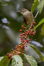 单骑狙击手文集