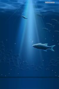 许你情深共白首裴司寒林舒免费阅读