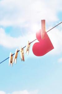 许你情深共白首免费阅读全文