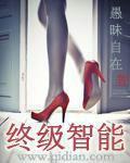 终级智能