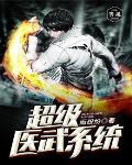 超级医武系统