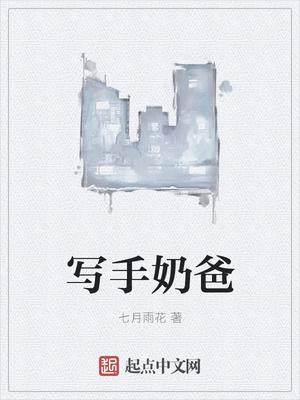 写手奶爸