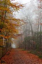 万道独尊境界划分