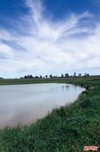 刀丛中的小诗文集