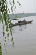 大地之子518文集