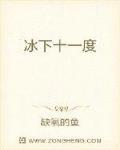 冰下十一度