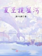 夏至揽星河