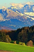 吃棒棒糖的猪文集