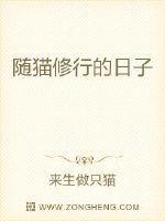 随猫修行的日子