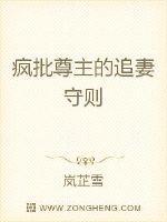 无情尊主的追妻守则