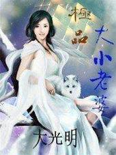 极品大小老婆