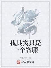 我其实只是一个客服