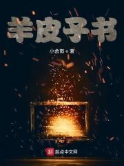 羊皮子书