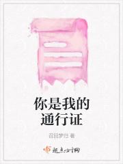 你是我的通行证