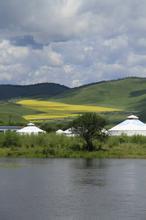 曾经凋零的叶子文集