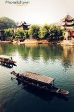 低着头的向日葵文集