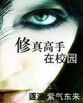 修真高手在校园