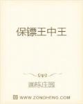 保镖王中王