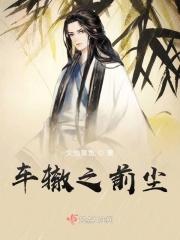 车辙之前尘