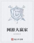 网游大赢家
