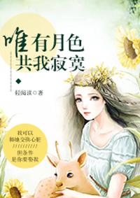 唯有月色，共我寂寞