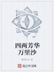 四两芳华万里沙